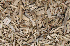 biomass boilers Sharptor